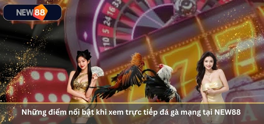 Trực Tiếp Đá Gà Mạng – Trải Nghiệm Đấu Trường Chọi Gà Đỉnh Cao 2026 Những điểm nổi bật khi xem trực tiếp đá gà mạng tại NEW88